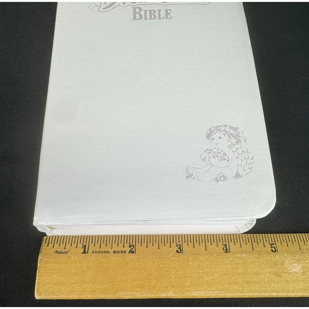 Dreamsicles Holy Bible King James Version 5